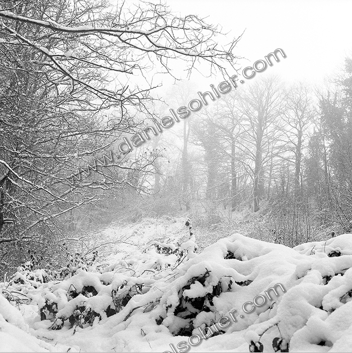 Création Noir&Blanc