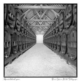 Création photographique noir et blanc argentique