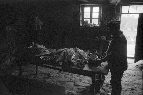 La journée du Cochon