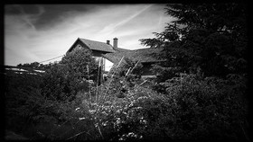 Site Simon Freres