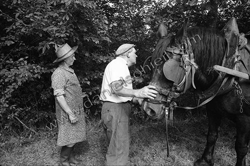 Reportage sur les foins