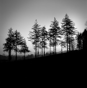 NOIR & BLANC