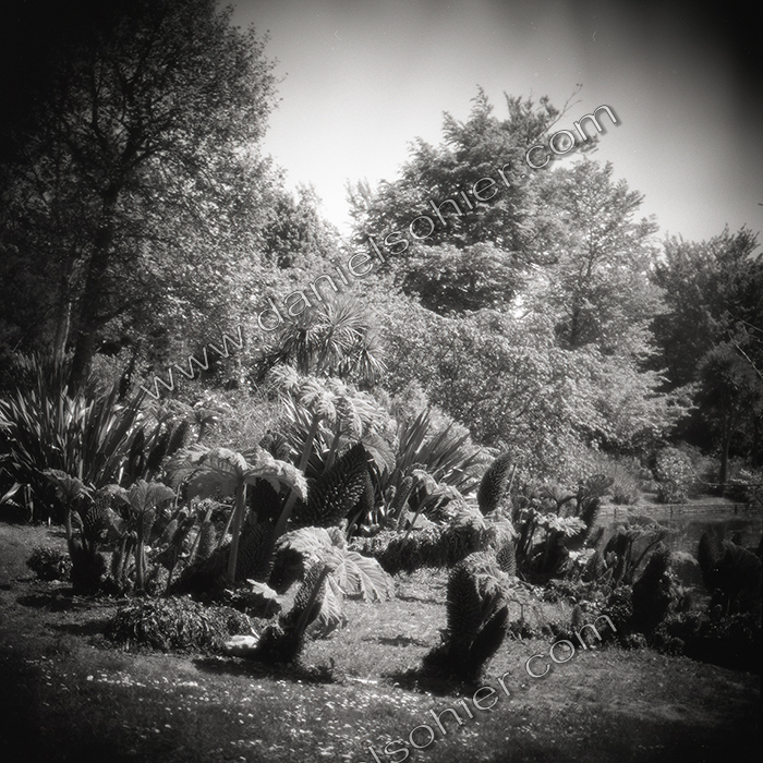 LE PARC - JARDIN FAVIER - Cherbourg en Cotentin - Manche - France 1986 - Hasselblad 6x6 argentique Photographie N° JF 15