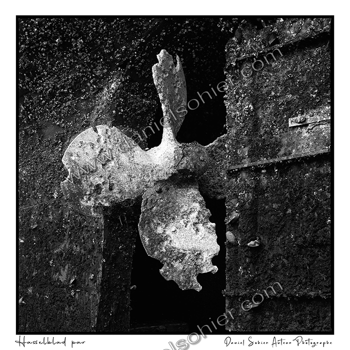 Création photographique noir et blanc argentique