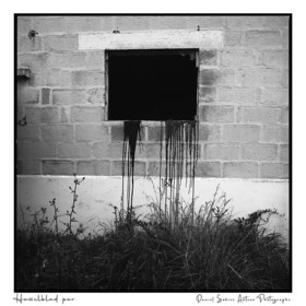 Création photographique noir et blanc argentique