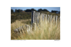 Photoggraphies de paysage