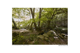 Photoggraphies de paysage