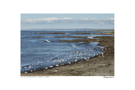 Photoggraphies de paysage
