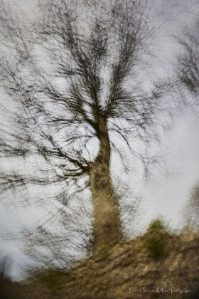 ICM Paysage