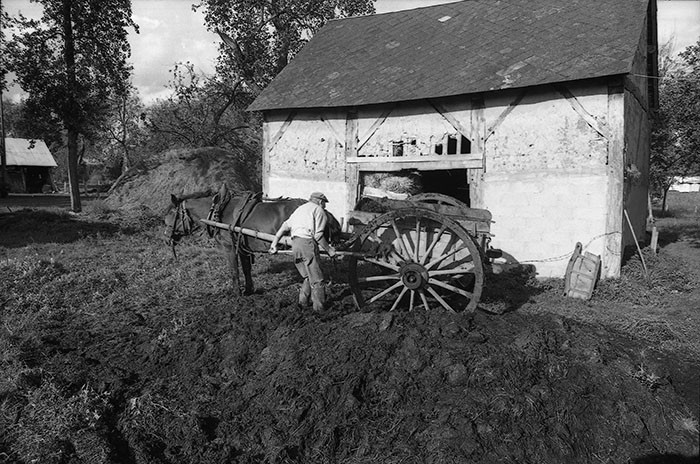 Le fumier dans l'Baniau