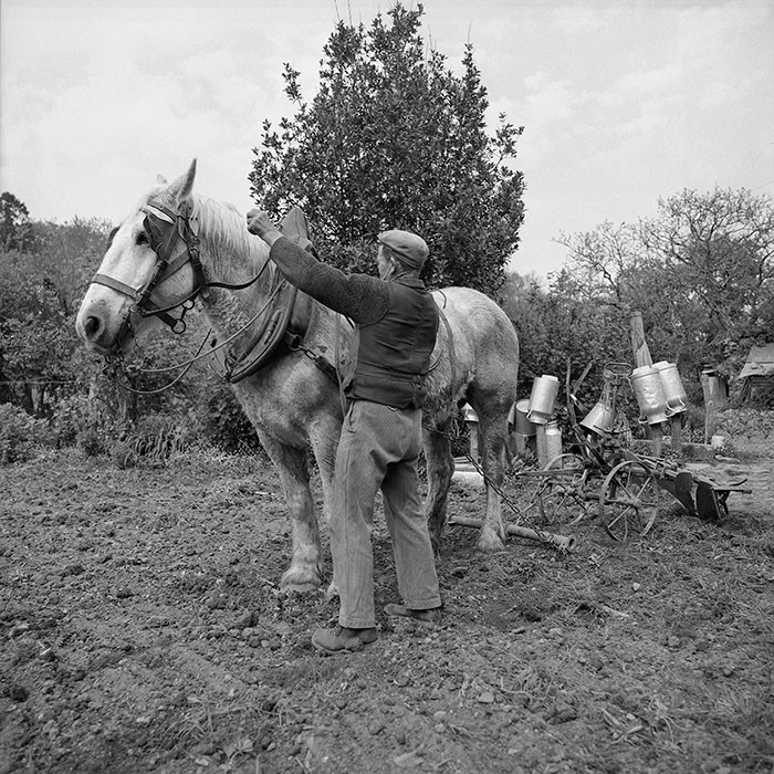 Le champ derrière la ferme