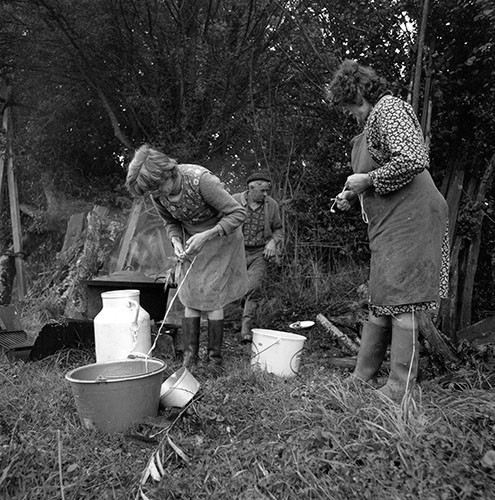 La journée du Cochon