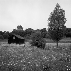 Création Noir&Blanc