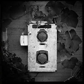 Site Simon Freres