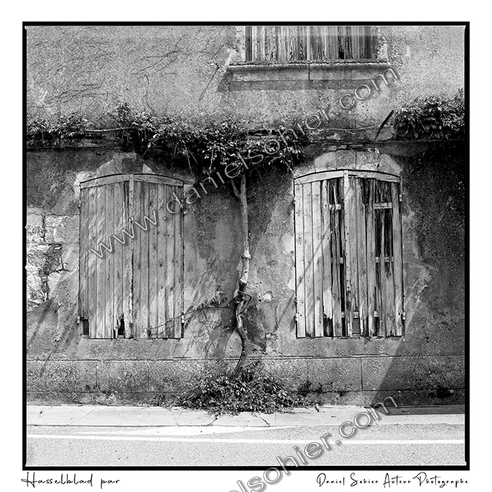 Création photographique noir et blanc argentique