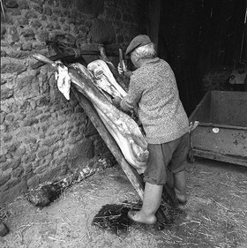 La journée du Cochon