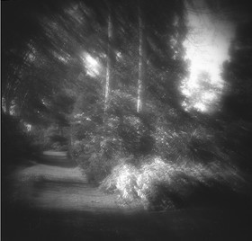 LE PARC - JARDIN FAVIER - Cherbourg en Cotentin - Manche - France 1986 - Hasselblad 6x6 argentique Photographie N° JF 10