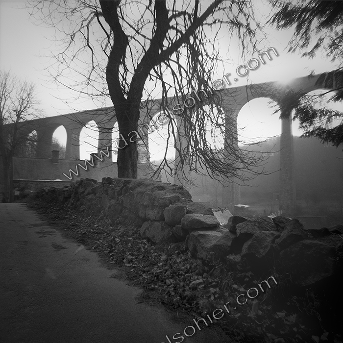 Création Noir&Blanc