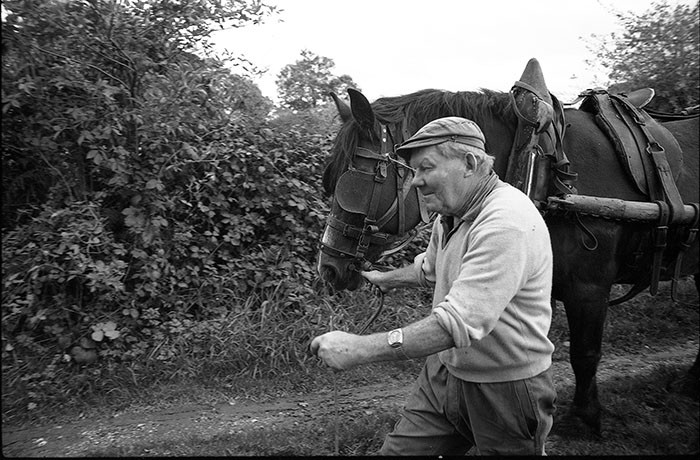 Le fumier dans l'Baniau