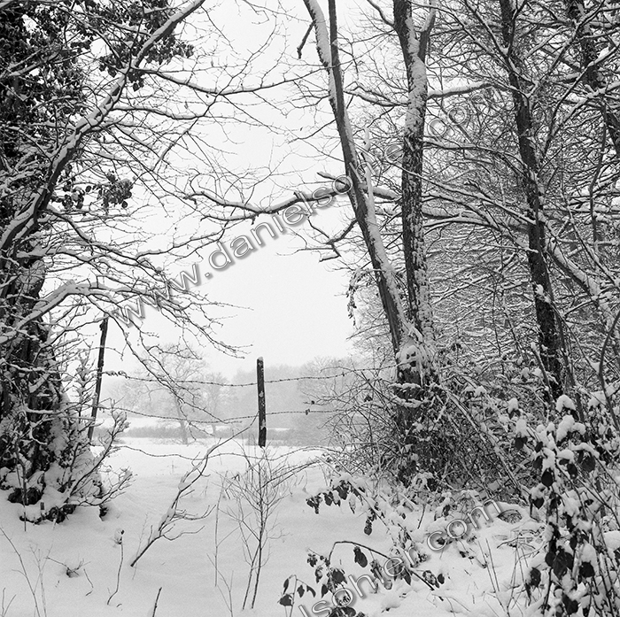 Création Noir&Blanc