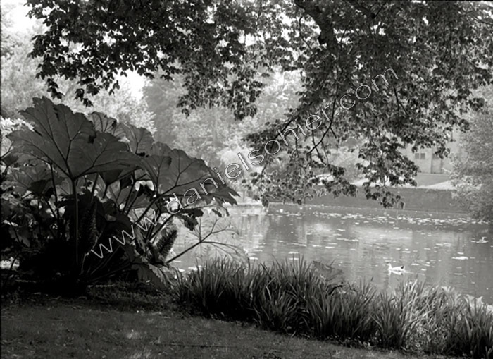 Création Noir&Blanc