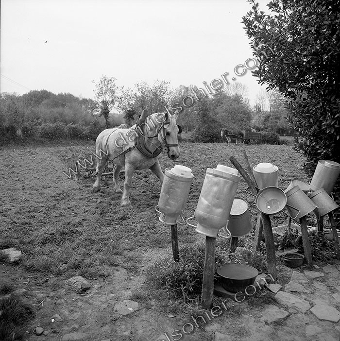 Le champ derrière la ferme