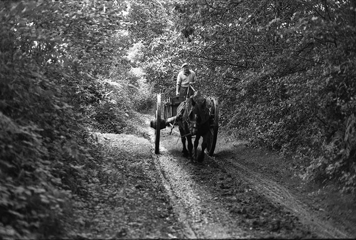 Le fumier dans l'Baniau
