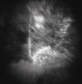 LE PARC - JARDIN FAVIER - Cherbourg en Cotentin - Manche - France 1986 - Hasselblad 6x6 argentique Photographie N° JF 09