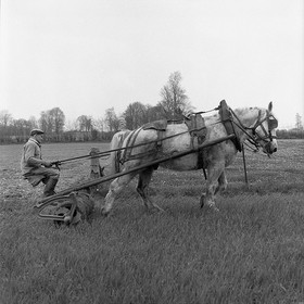Le travail des champs