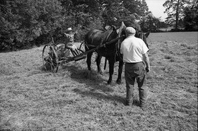 Reportage sur les foins