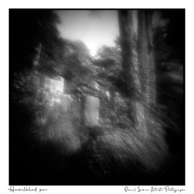 Création photographique noir et blanc argentique