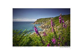 Photoggraphies de paysage