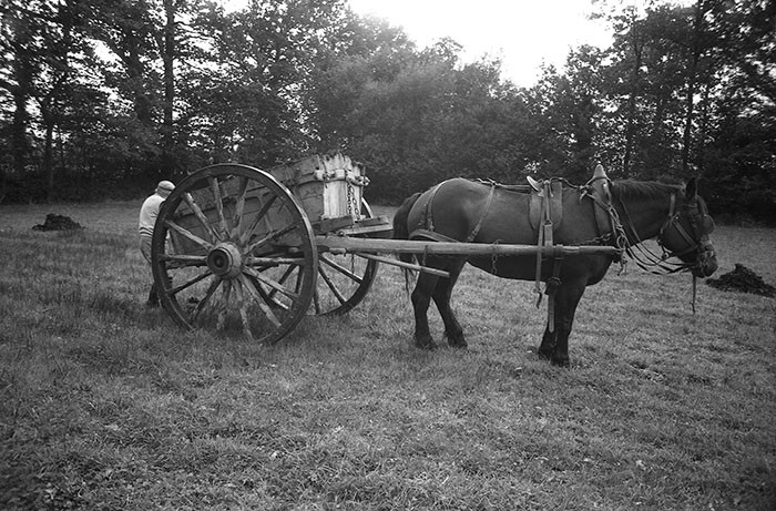 Le fumier dans l'Baniau