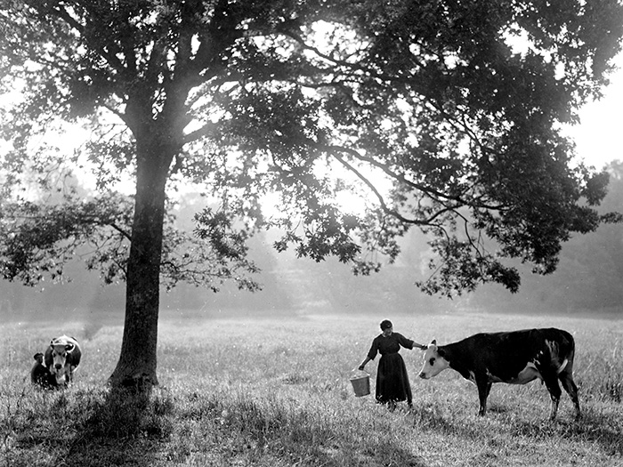 Photographie Gustave Bazire (1893-1941)