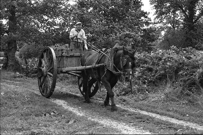 Le fumier dans l'Baniau