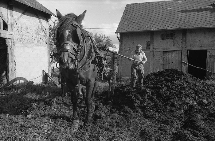 Le fumier dans l'Baniau