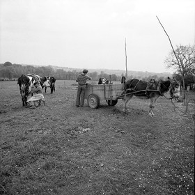Traite dans les champs