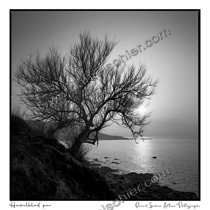 Création photographique noir et blanc argentique