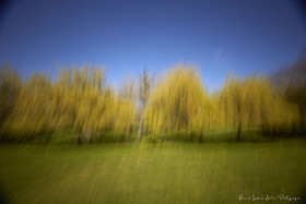 ICM Paysage