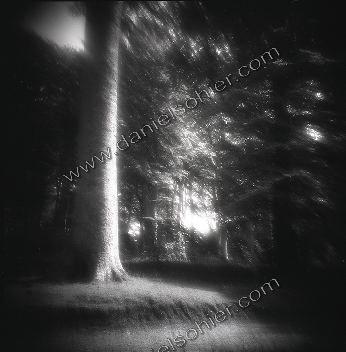 Création Noir&Blanc