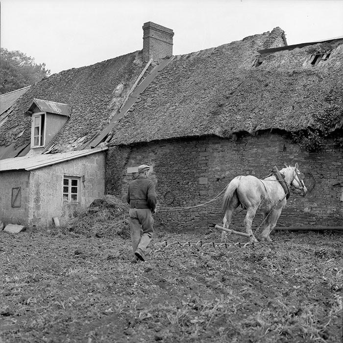 Le champ derrière la ferme