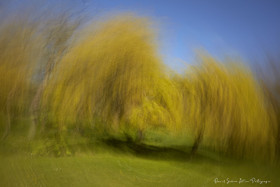 ICM Paysage