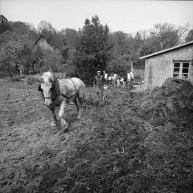 Le champ derrière la ferme