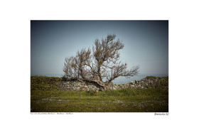 Photoggraphies de paysage