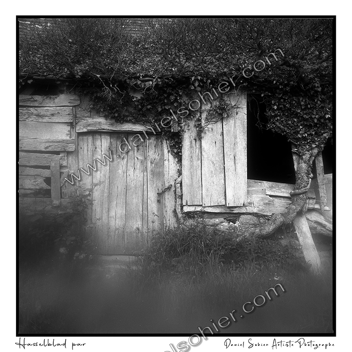 Création photographique noir et blanc argentique