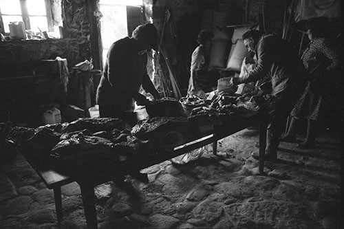 La journée du Cochon