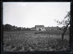 Plaques de verre 1910