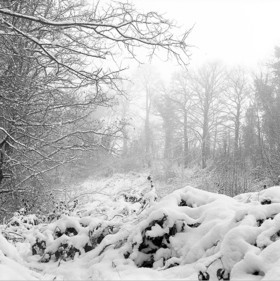 Création Noir&Blanc