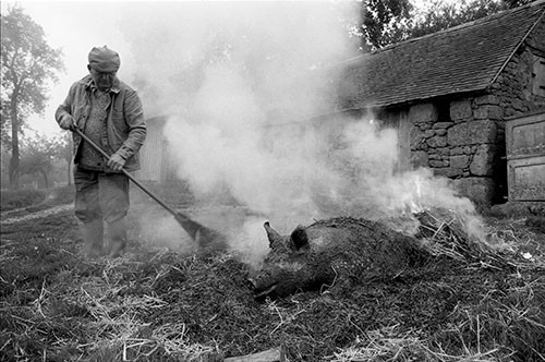La journée du Cochon