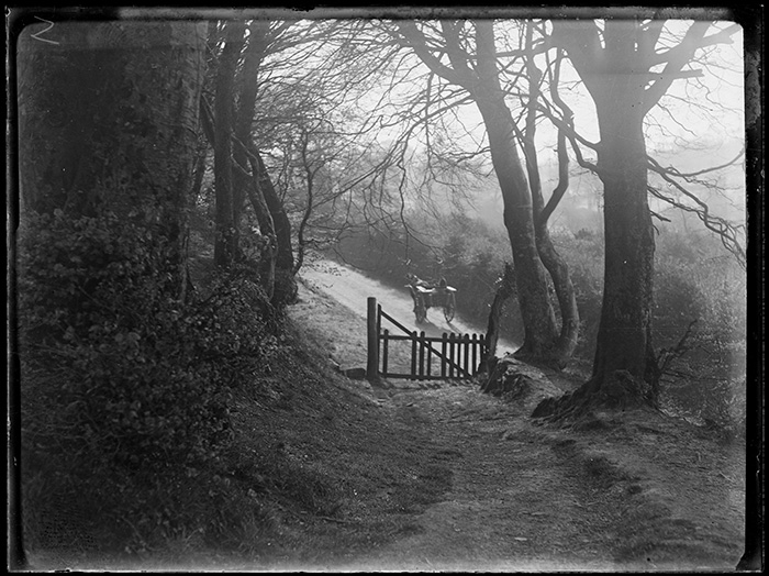 Photographie Gustave Bazire (1893-1941)